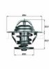 DAF 0672276 Thermostat, coolant